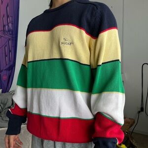 Multicolor Jaguar Striped Men's Sweater 🐆